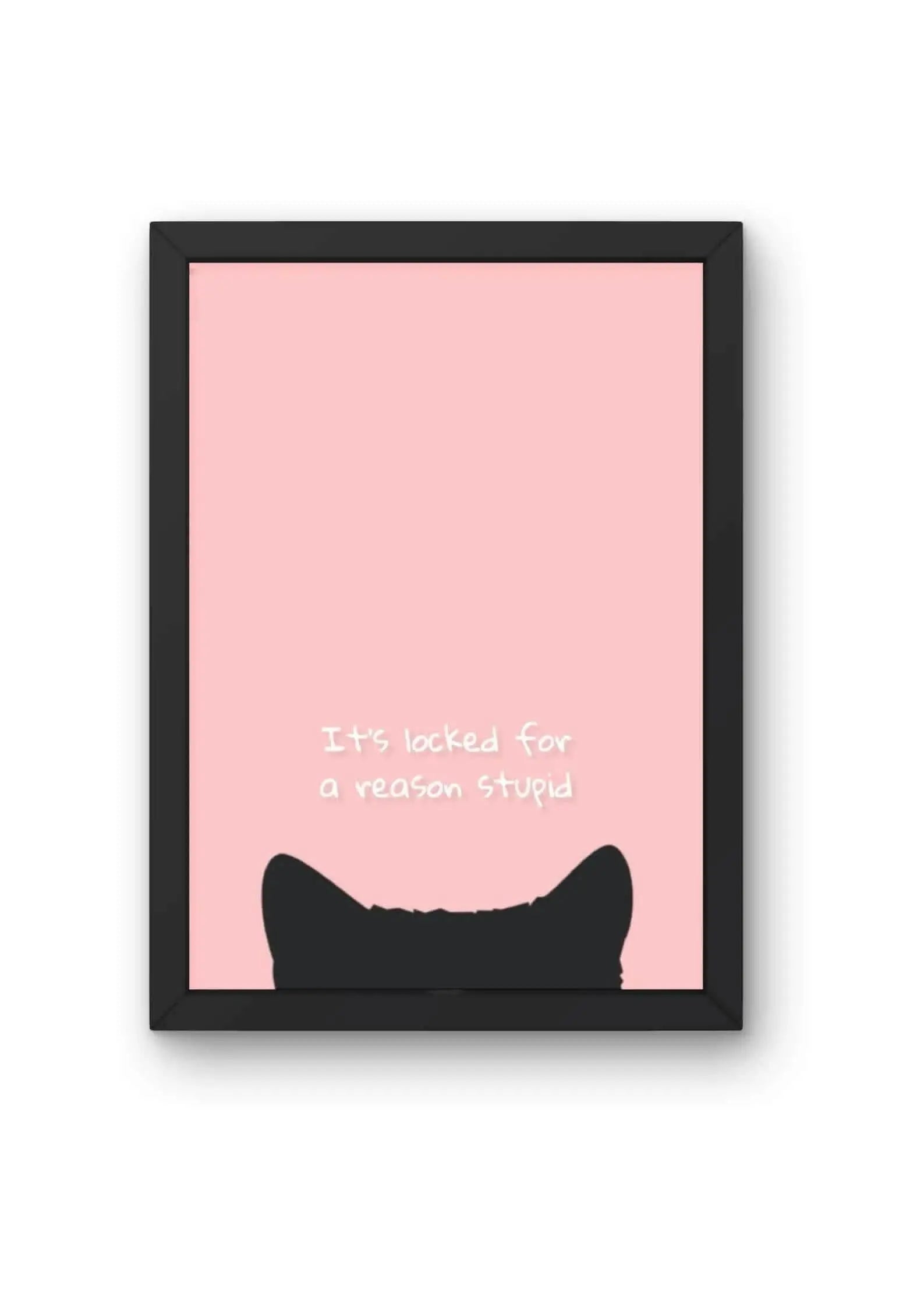 Locked For a Reason Poster CLADURE